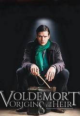 Voldemort Origins Of The Heir