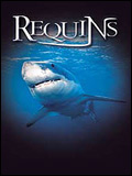 Le Monde Des Requins Requins 3d