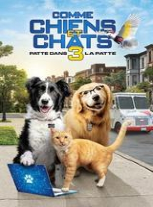 Comme Chiens Et Chats 3 Patte Dans La Patte