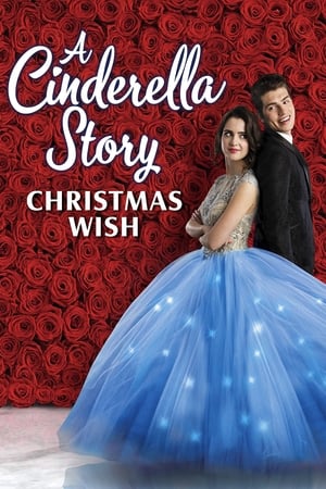 A Cinderella Story Christmas Wish