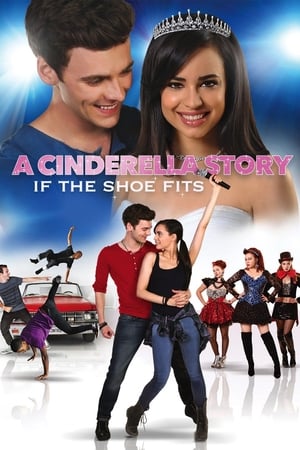 A Cinderella Story If The Shoe Fits