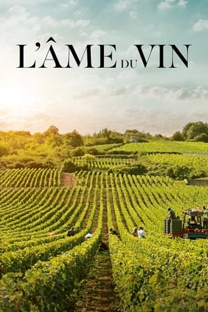 Lme Du Vin