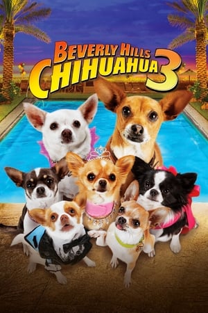 Le Chihuahua De Beverly Hills 3 Viva La Fiesta