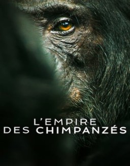 L_empire Des Chimpanzaes Saison 1 Episode 2