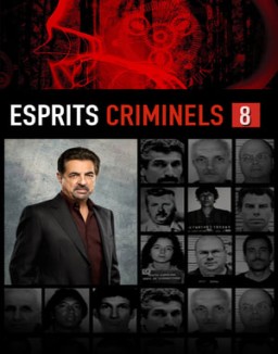 Esprits Criminels Saison 8 Episode 14