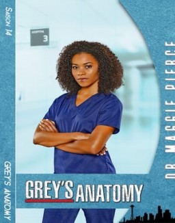 Grey_s Anatomy Saison 14