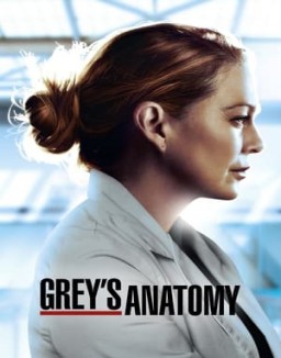 Grey_s Anatomy Saison 1