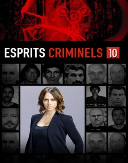 Esprits Criminels Saison 10 Episode 6