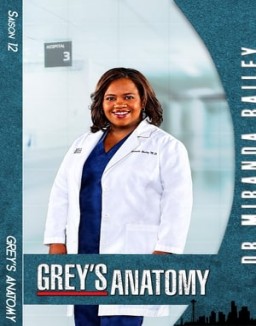 Grey_s Anatomy Saison 12