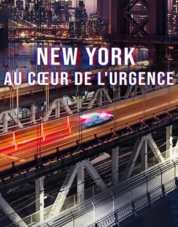 New York  Au Caour De L_urgence Saison 1 Episode 8