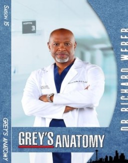 Grey_s Anatomy Saison 15