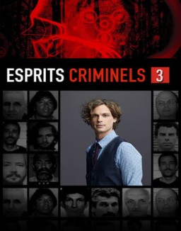 Esprits Criminels Saison 3 Episode 13