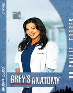 Grey_s Anatomy Saison 7 Episode 6