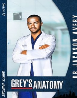 Grey_s Anatomy Saison 13