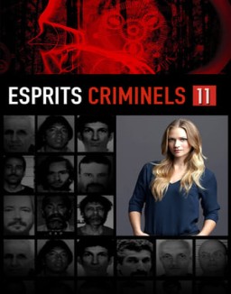 Esprits Criminels Saison 11 Episode 17