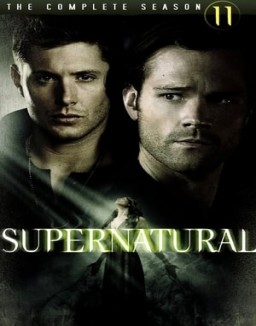 Supernatural Saison 11 Episode 8