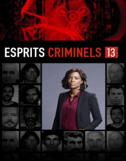 Esprits Criminels Saison 13 Episode 15