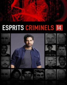 Esprits Criminels Saison 14 Episode 1