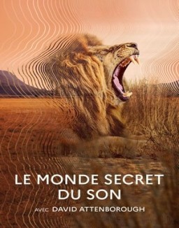 Le Monde Secret Du Son Avec David Attenborough Saison 1 Episode 1