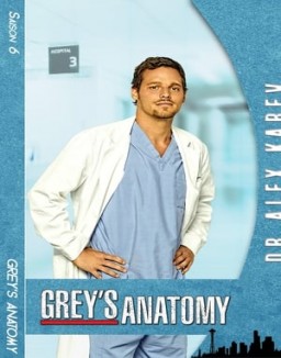 Grey_s Anatomy Saison 6